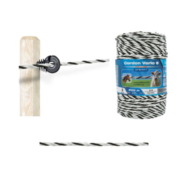 Corda Vario, 6 Condutores