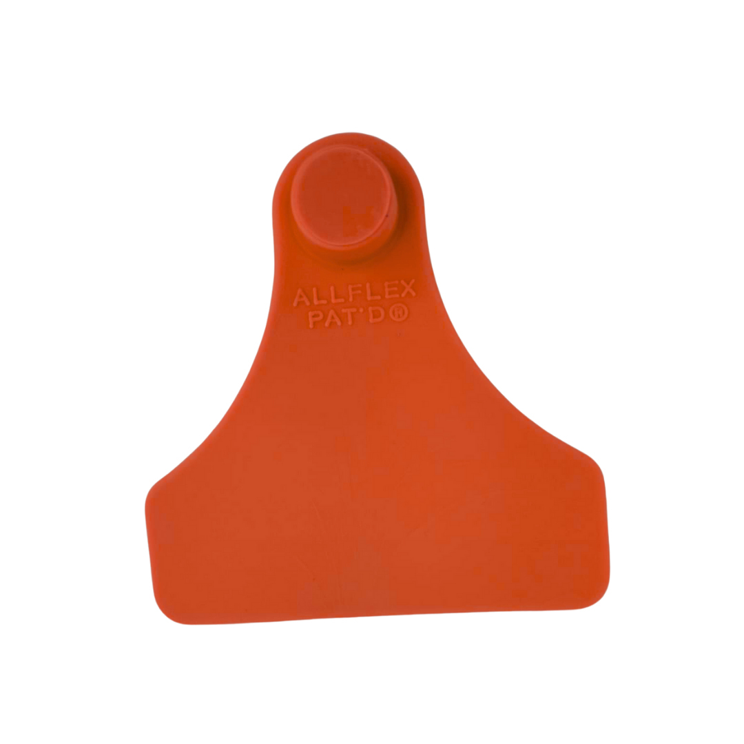 Junior Fêmea Laranja