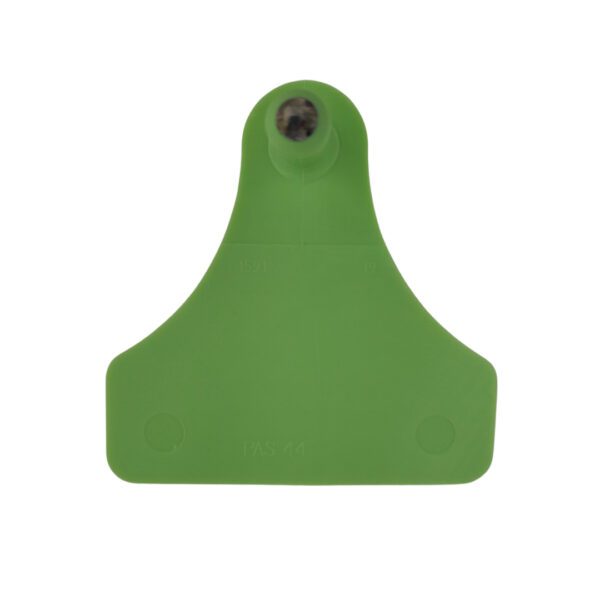 Junior Macho – Verde