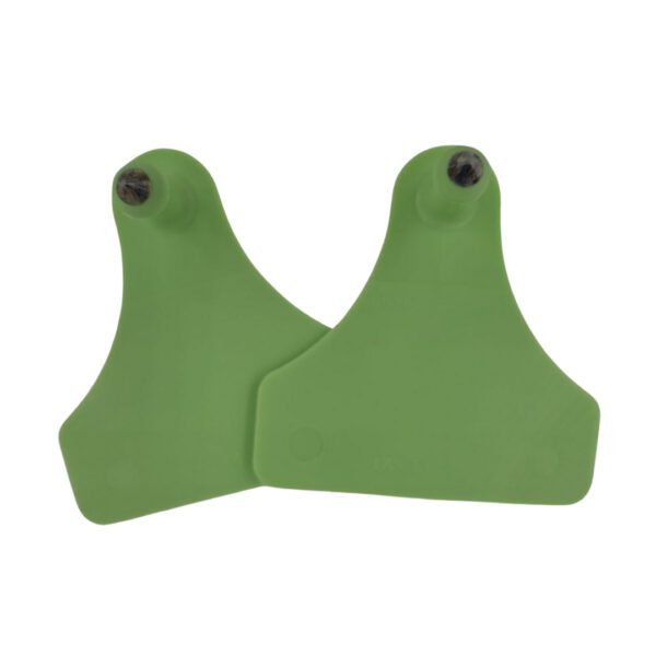 Junior Macho – Verde