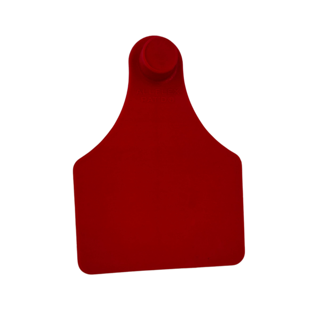 Sénior Fêmea Vermelho