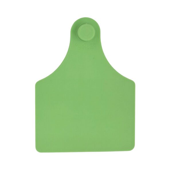 Maxi Fêmea – Verde