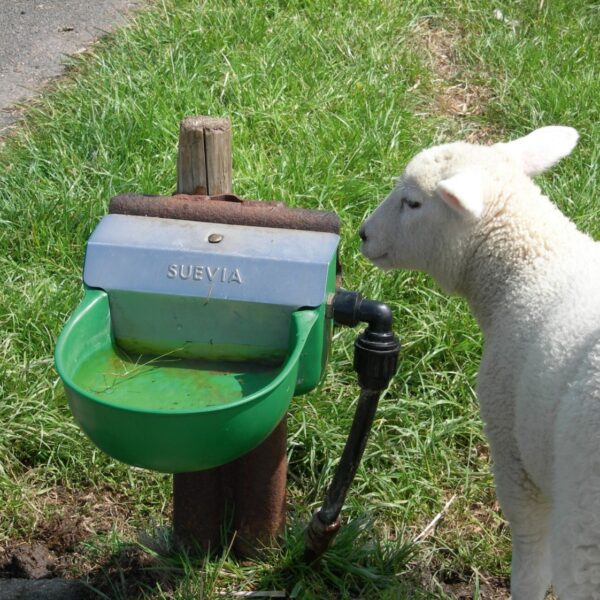 Bebedouro de Nível Constante 130P